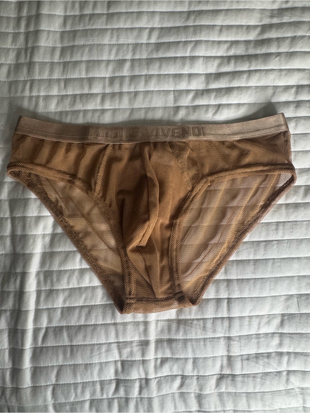 MODUS VIVENDI Men's Sheer Mesh Briefs in Tan
